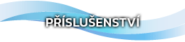Psluenstv